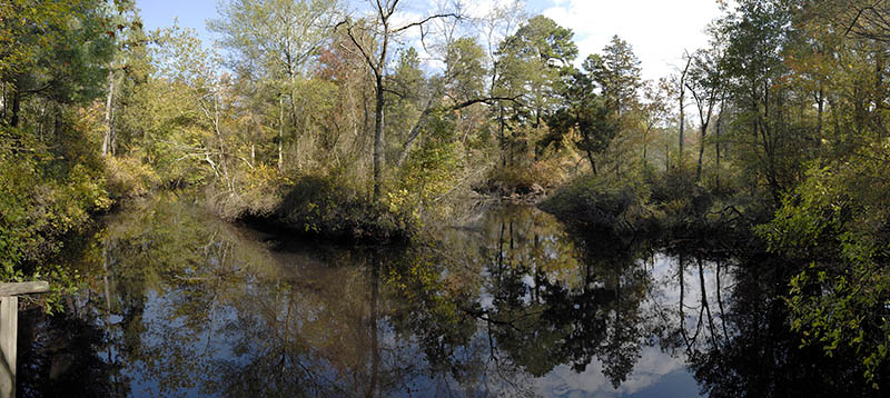 Rancocas creek