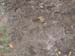 DSCN2187